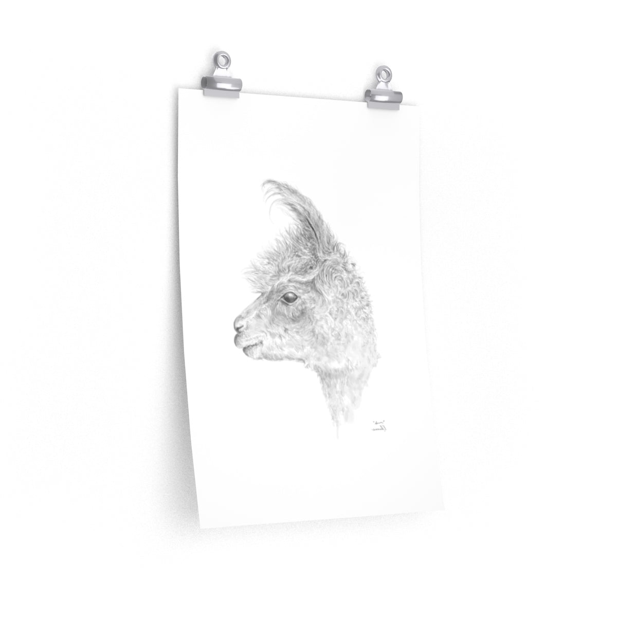 AARON Llama- Art Paper Print