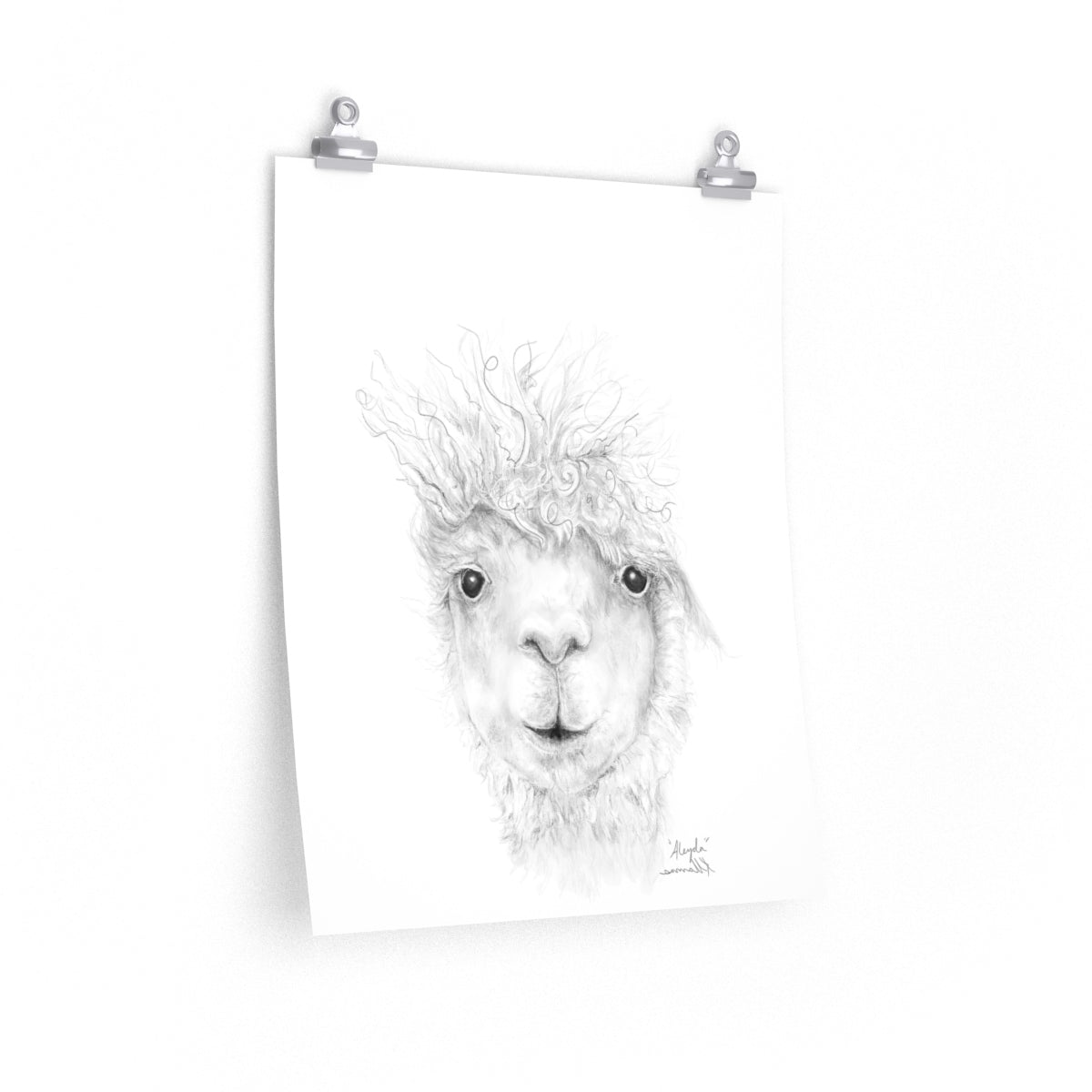 ALEYDA Llama- Art Paper Print