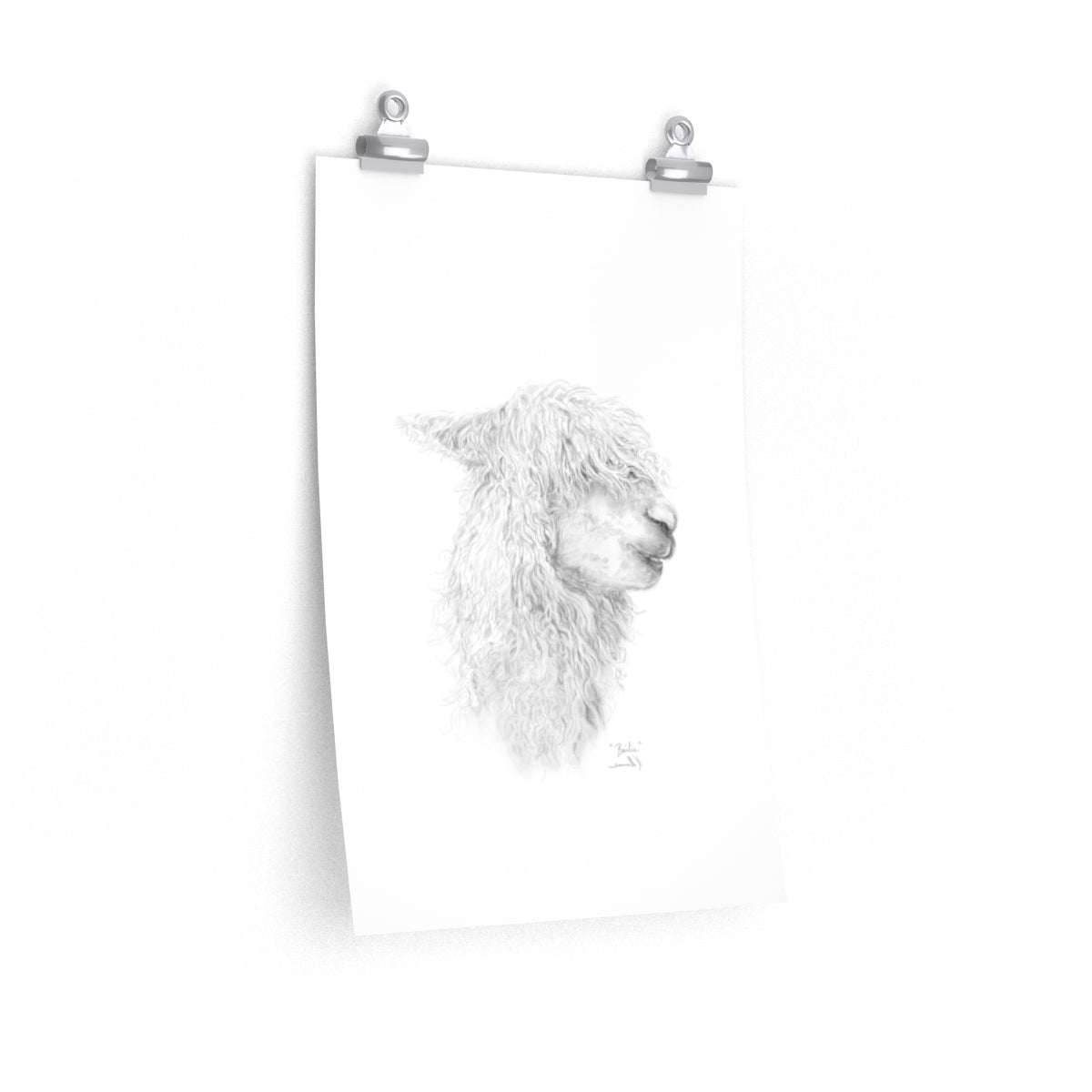 BAILIE Llama- Art Paper Print