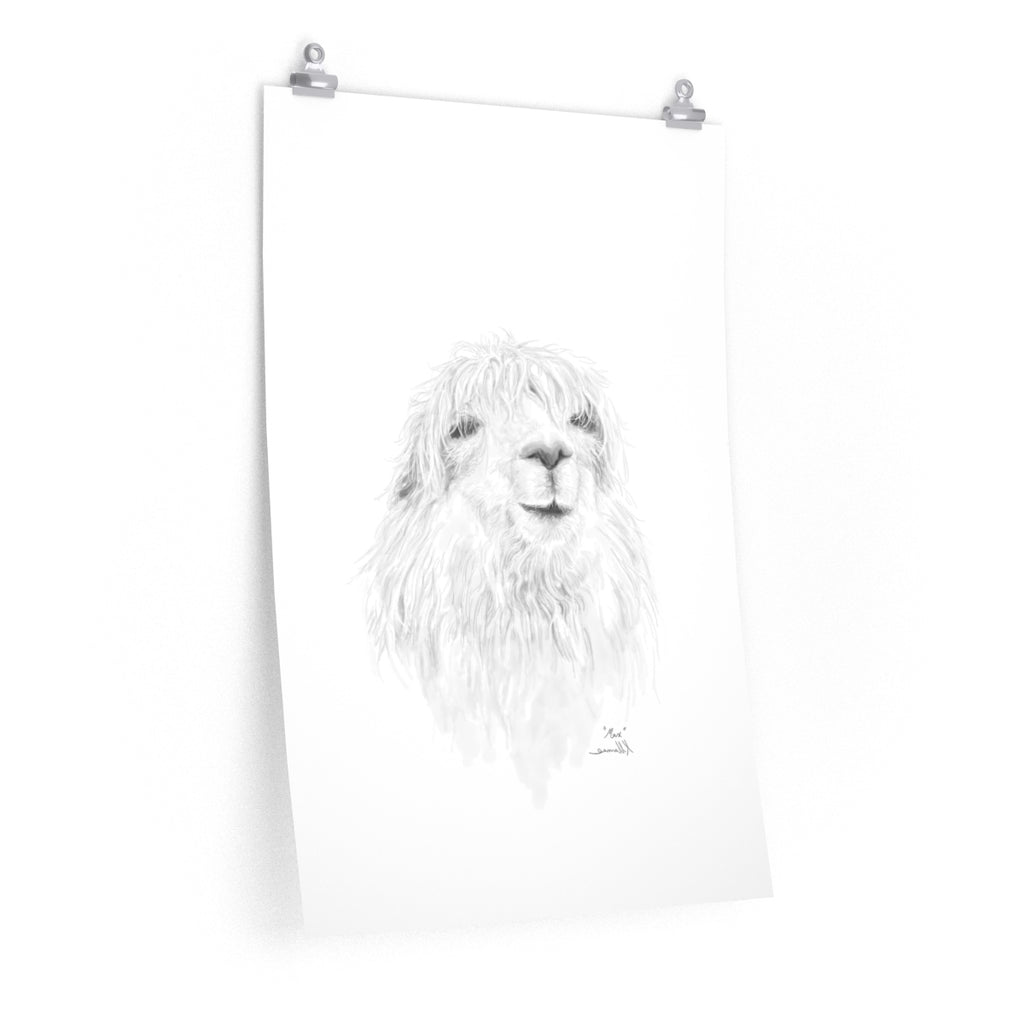 MAX Llama- Art Paper Print