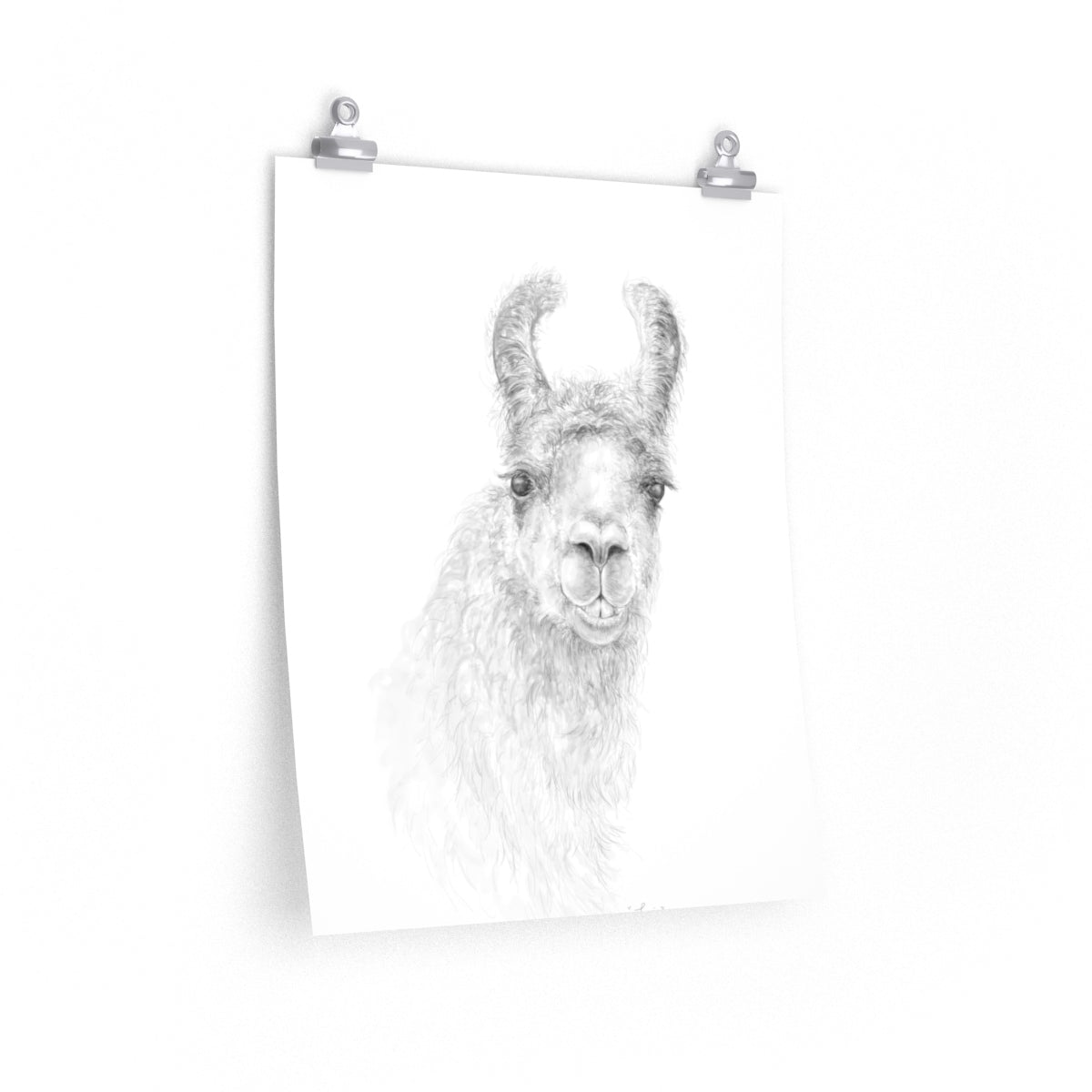 TONIA Llama- Art Paper Print