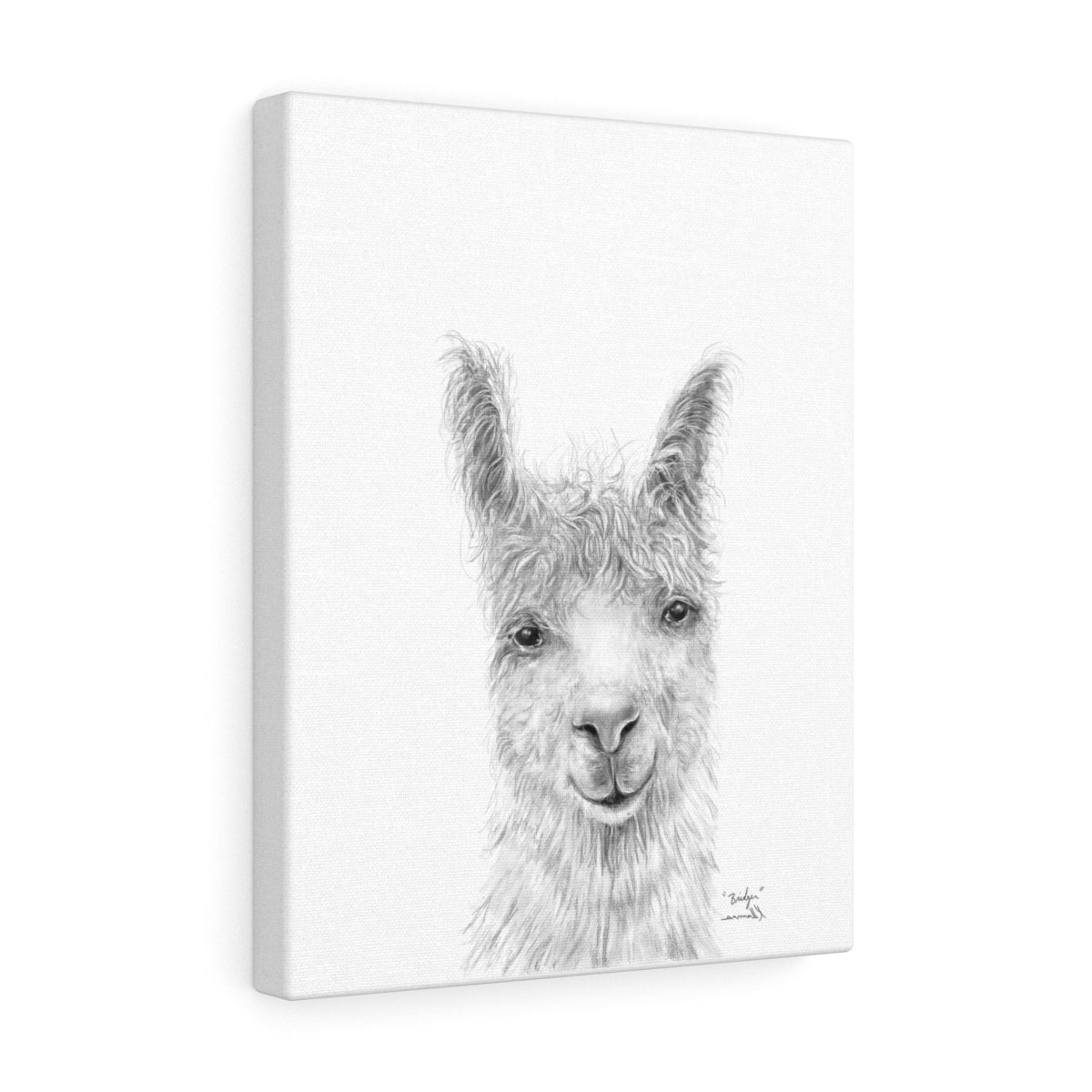 BRIDGER Llama - Art Canvas