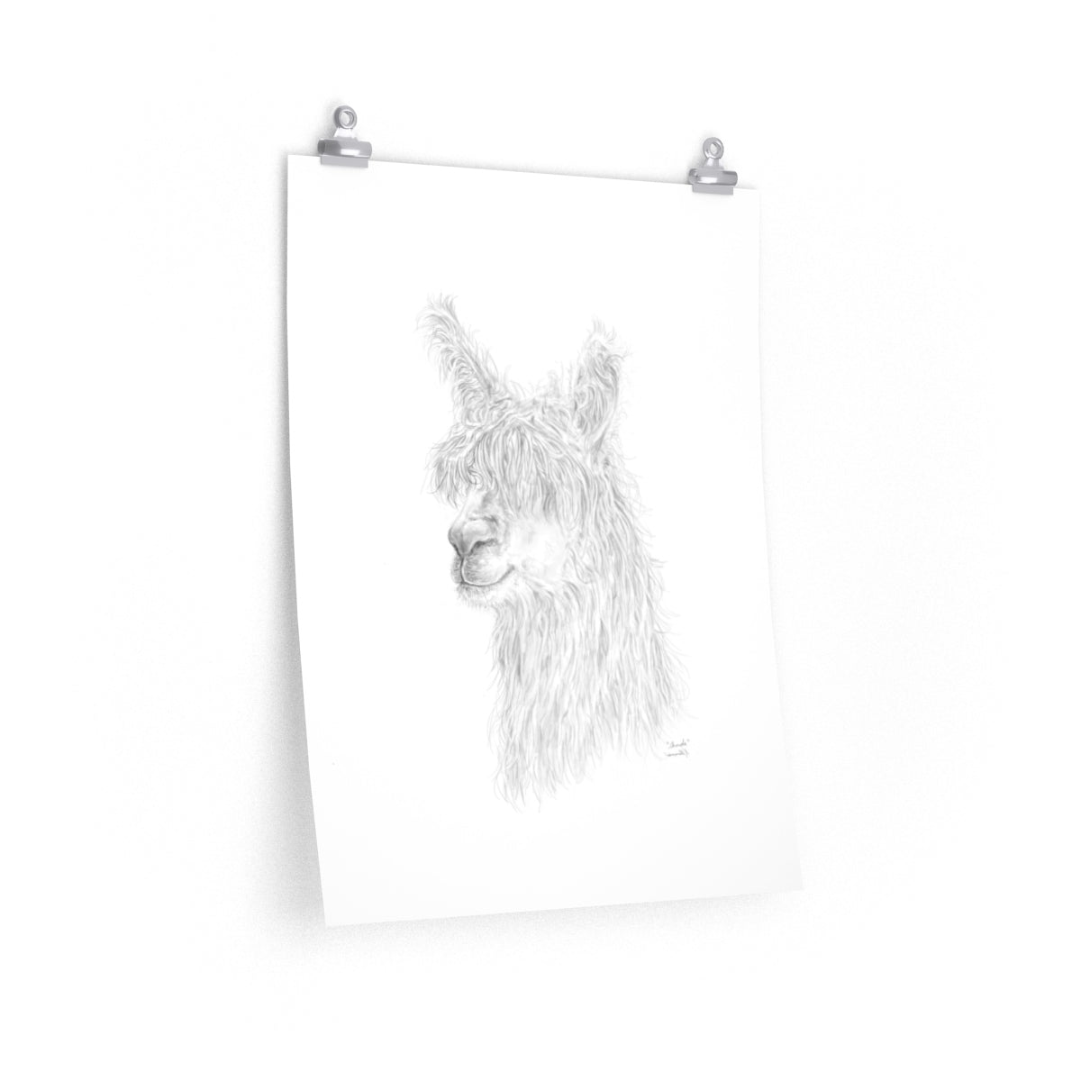 SHONDA Llama- Art Paper Print