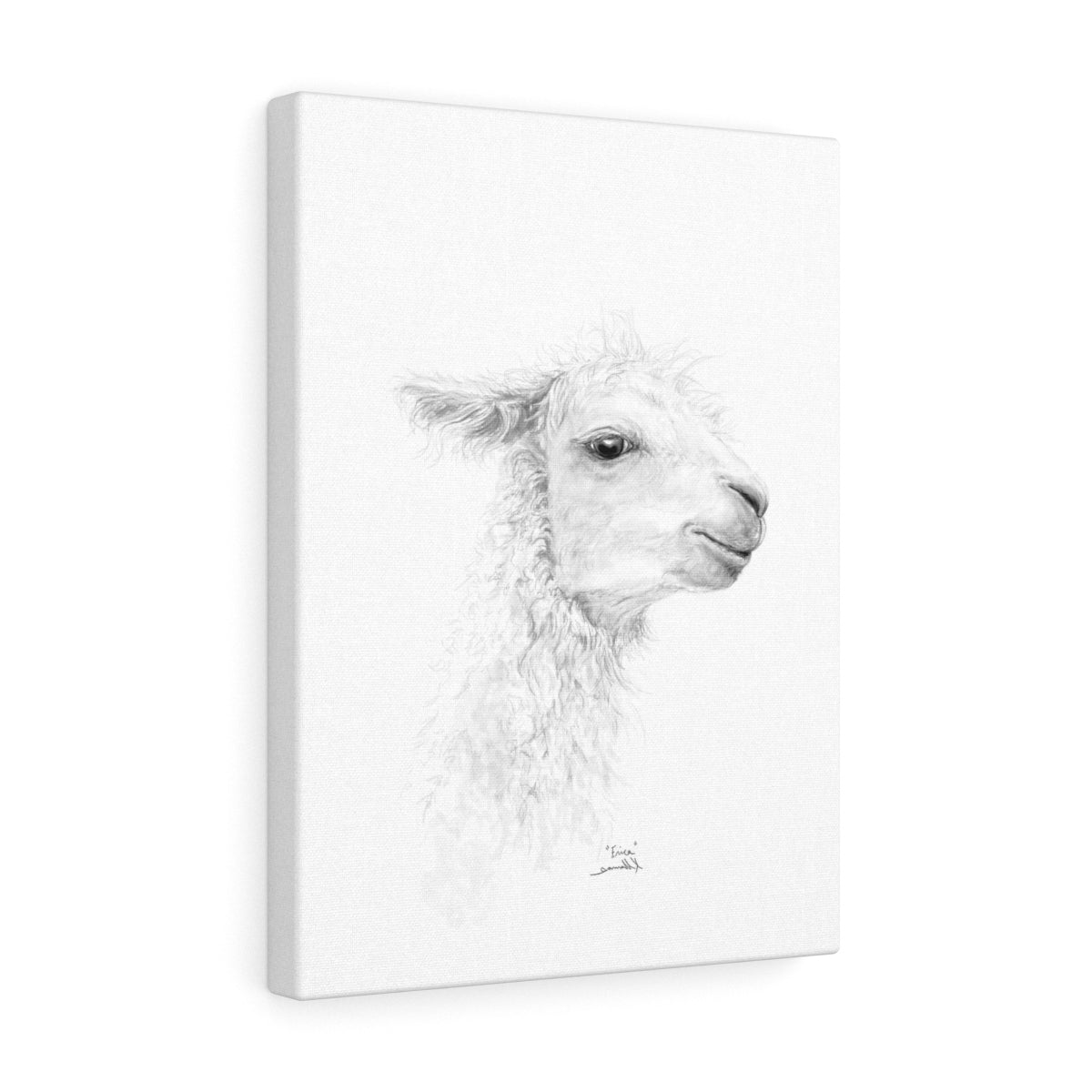ERICA Llama - Art Canvas