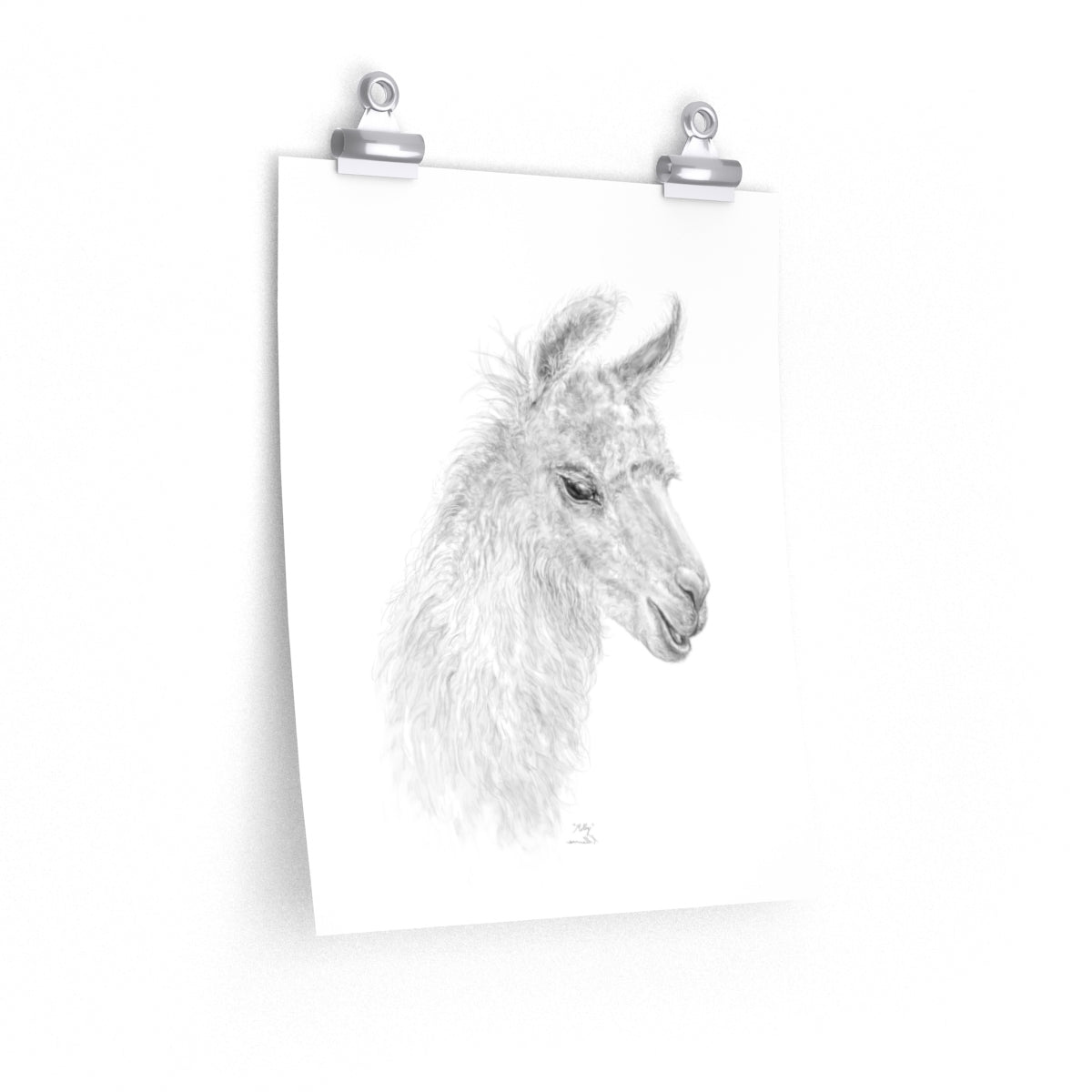 MOLLY Llama- Art Paper Print