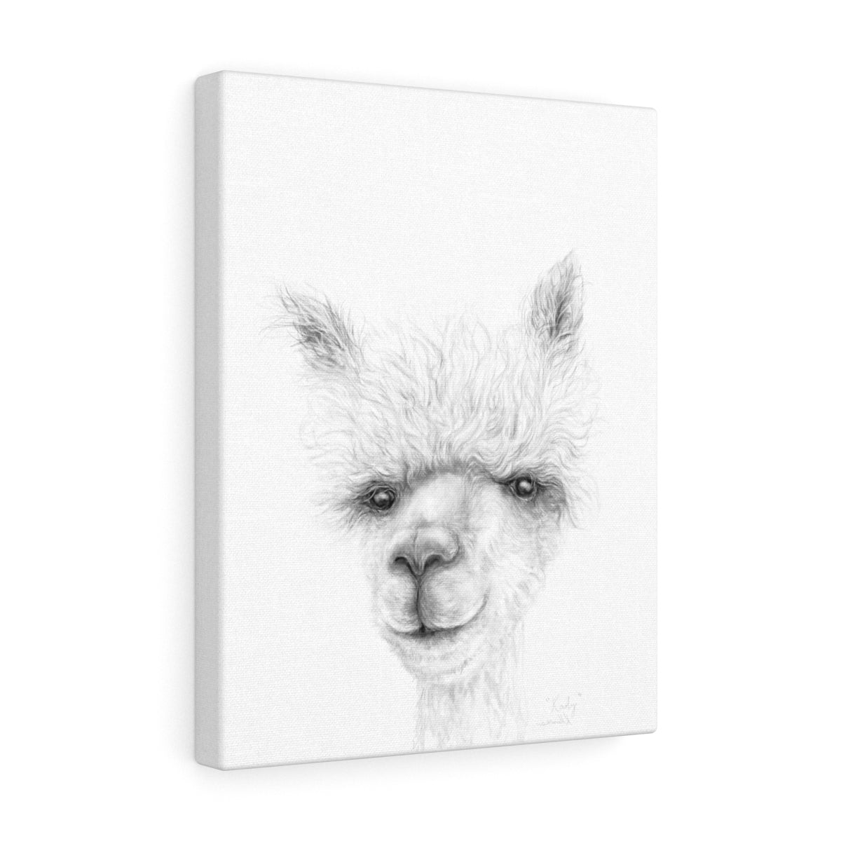 KADY Llama - Art Canvas