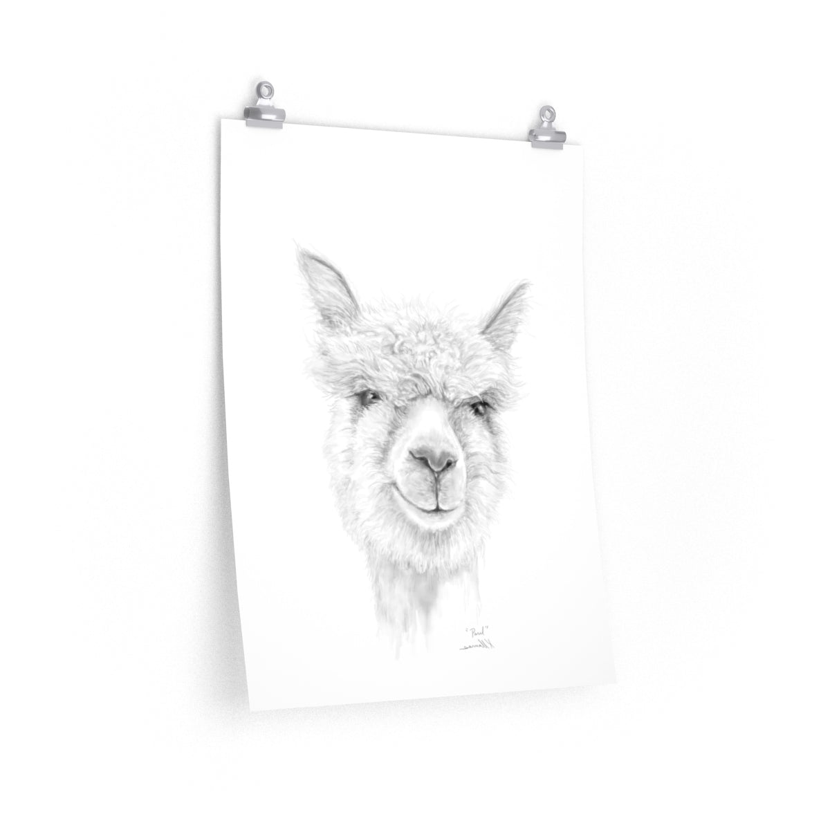 PAUL Llama- Art Paper Print