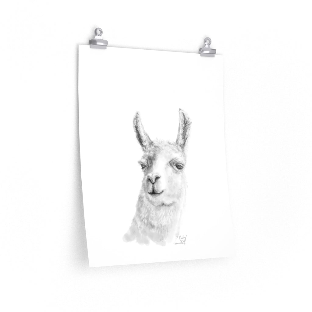 RUBY Llama- Art Paper Print