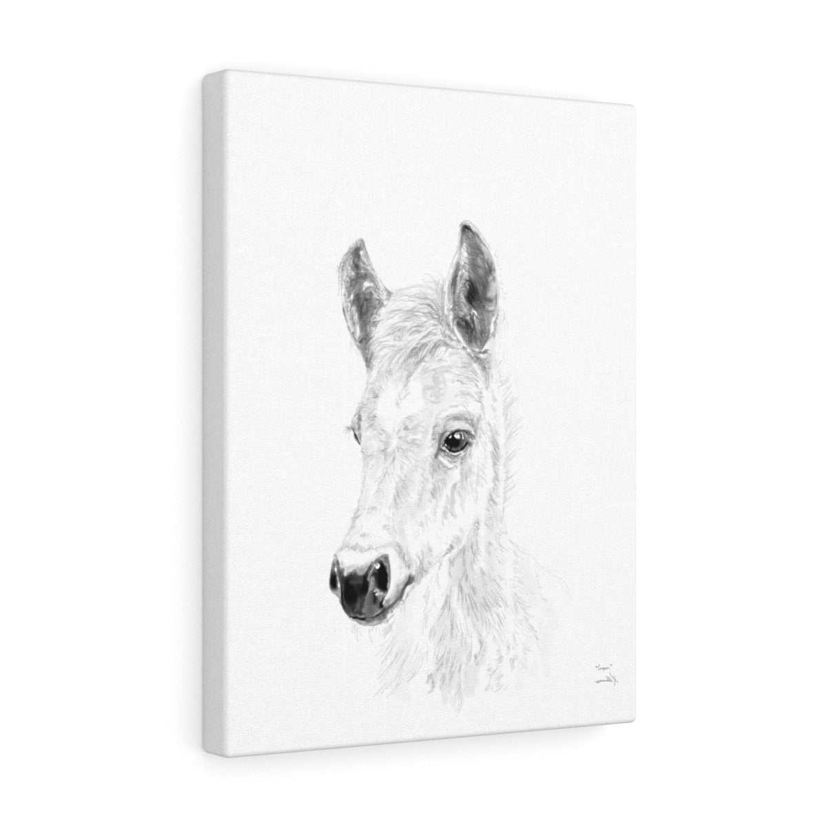 Cooper Horse - Animal Art Canvas