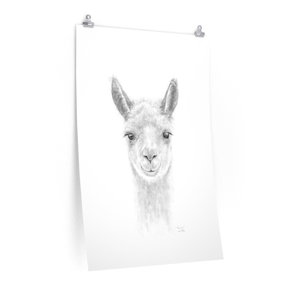 TAMARA Llama- Art Paper Print