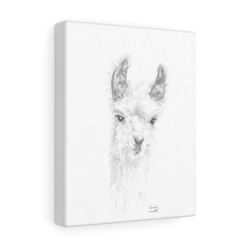 EMSLEY Llama - Art Canvas