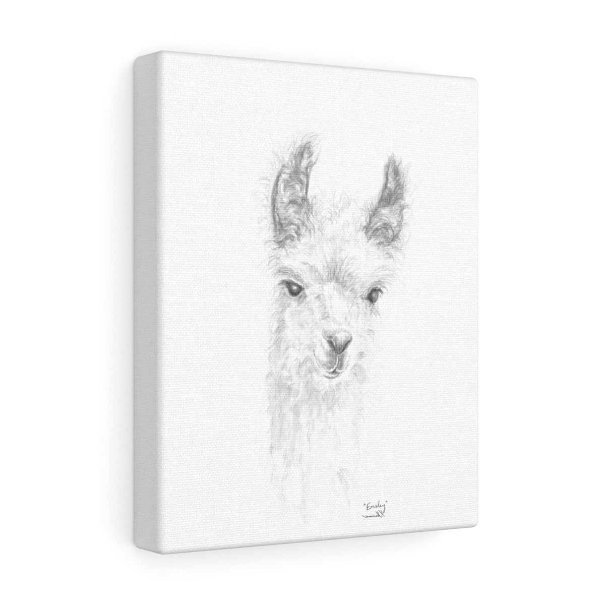 EMSLEY Llama - Art Canvas