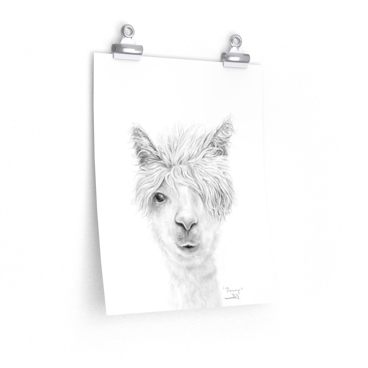 DANNY Llama- Art Paper Print
