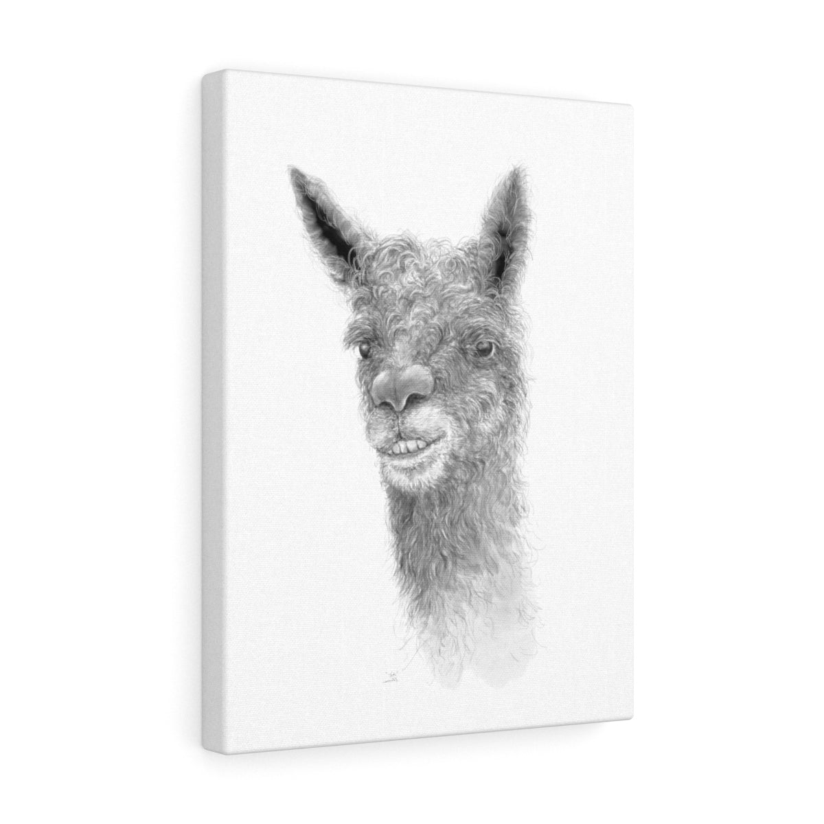 Tate Llama - Art Canvas