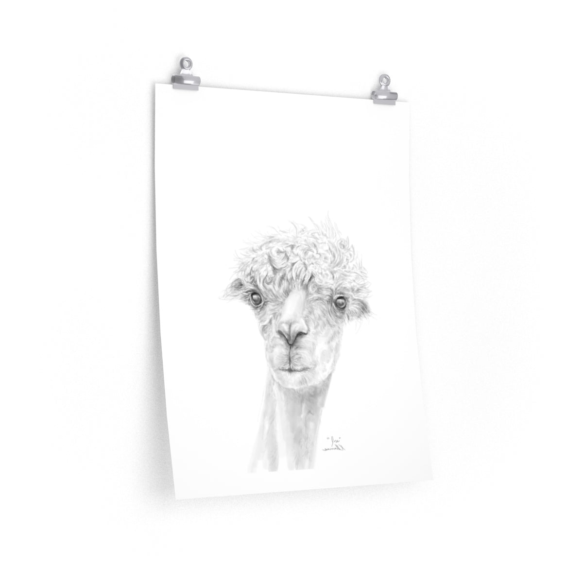 JOSE Llama- Art Paper Print