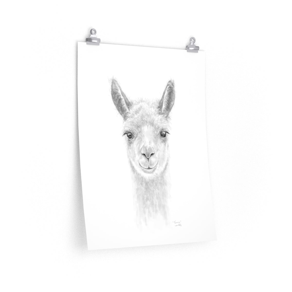 TAMARA Llama- Art Paper Print