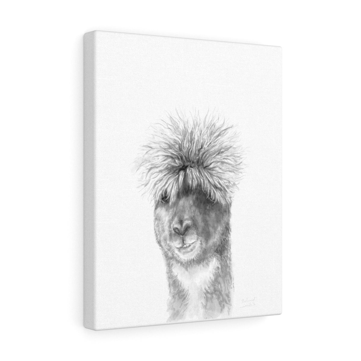 RICHMOND Llama - Art Canvas
