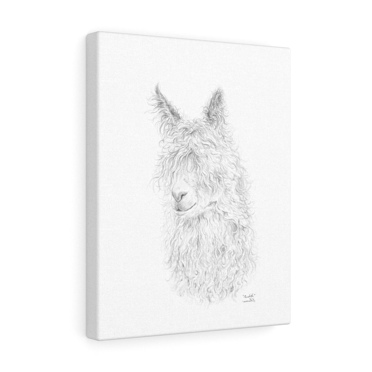 Meredith Llama - Art Canvas