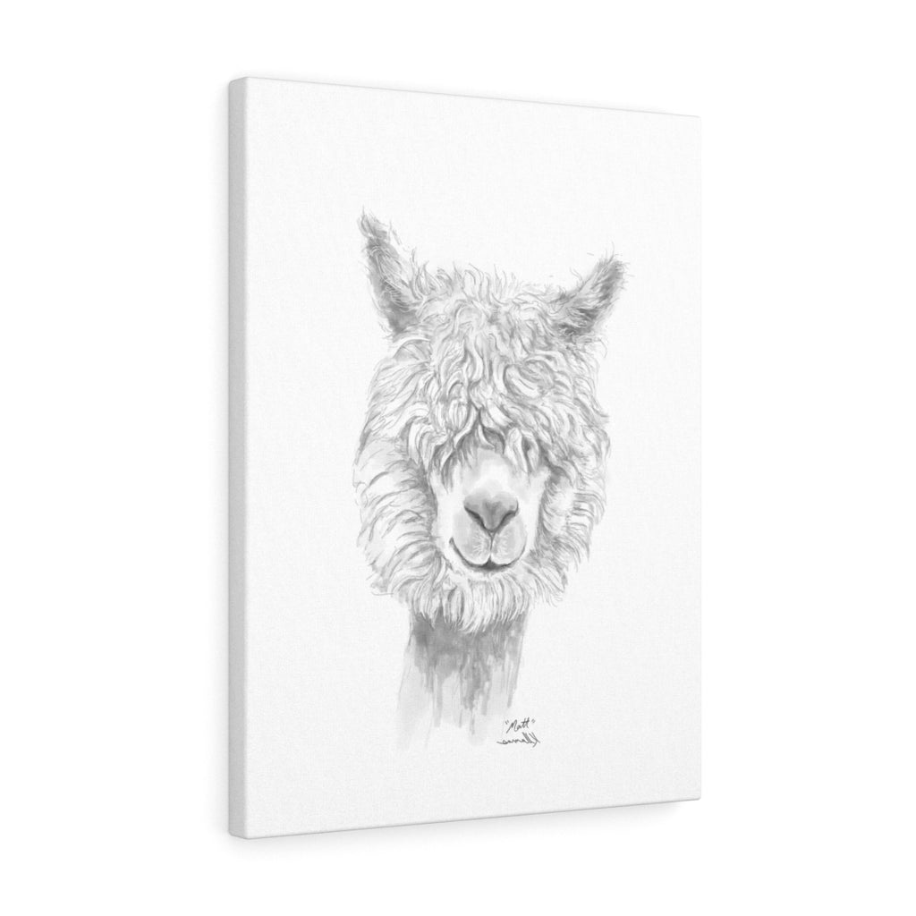 MATT Llama - Art Canvas