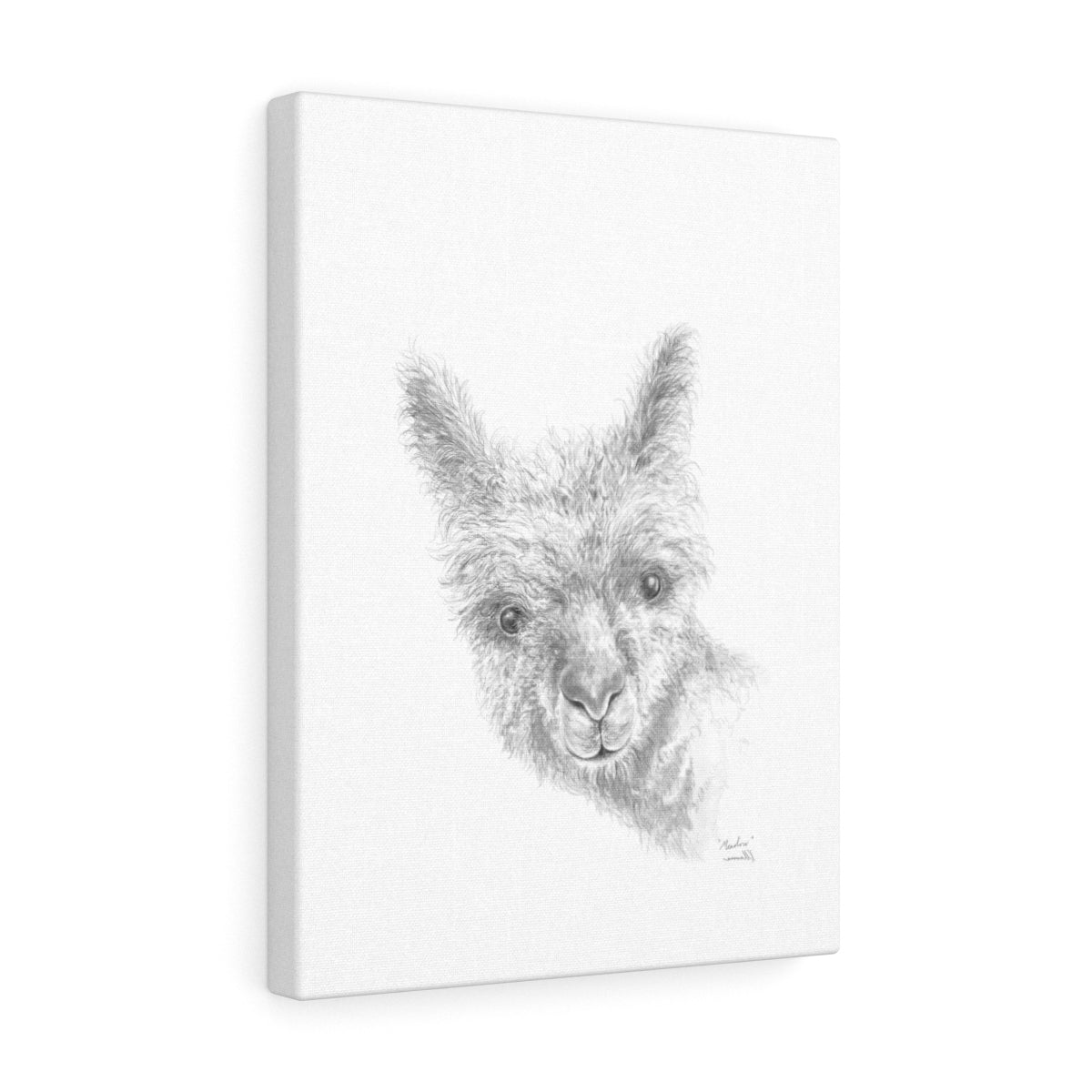 MEADOW Llama - Art Canvas