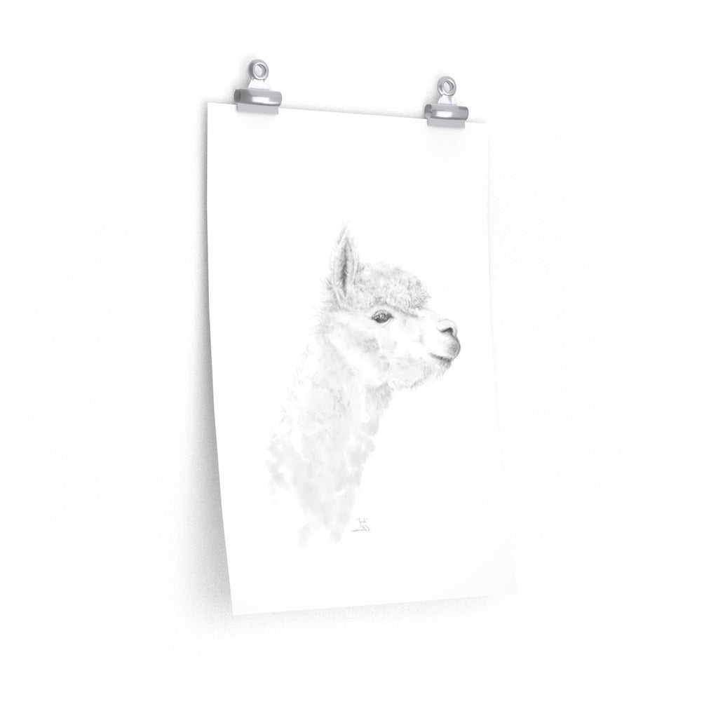 JOSH Llama- Art Paper Print