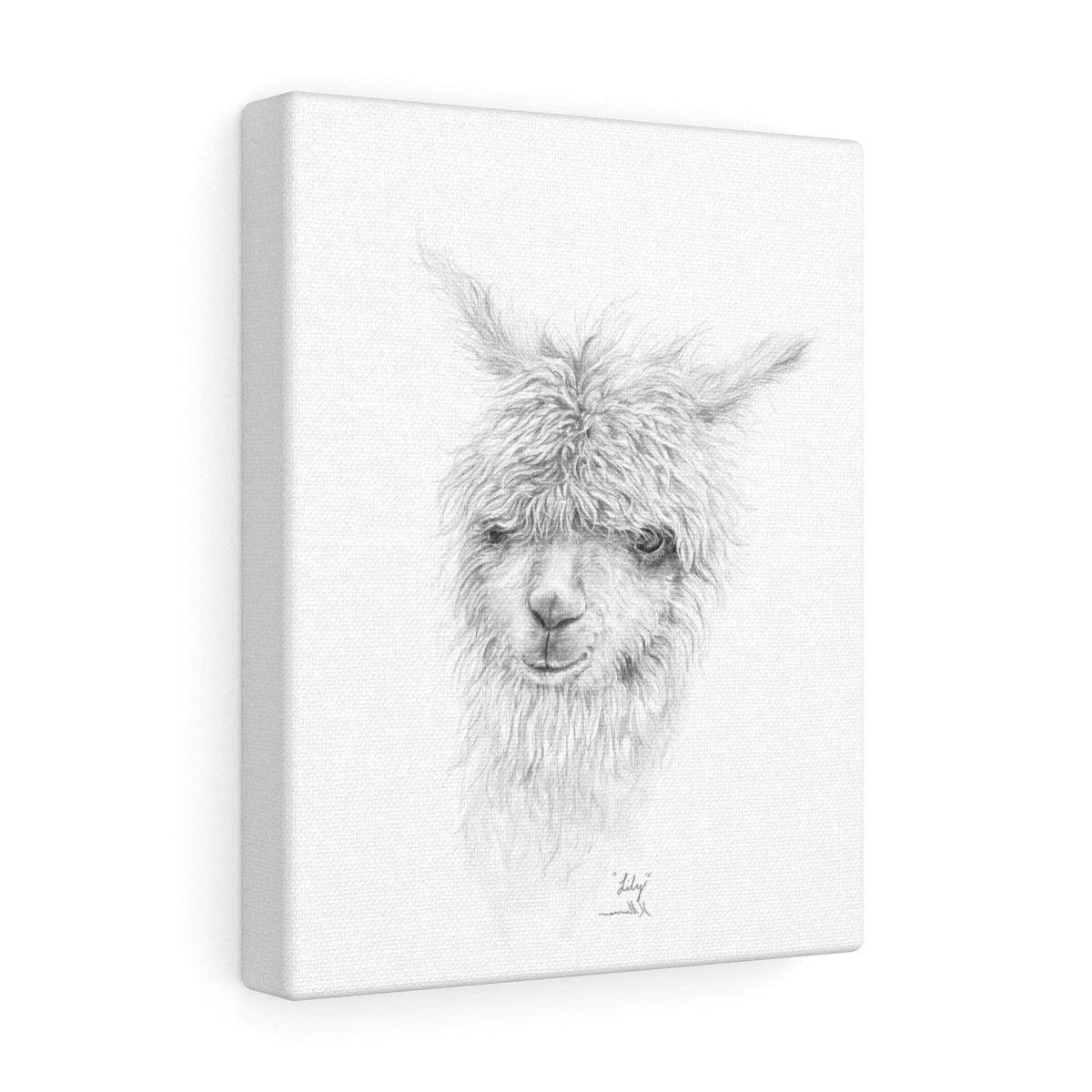 LILY Llama - Art Canvas