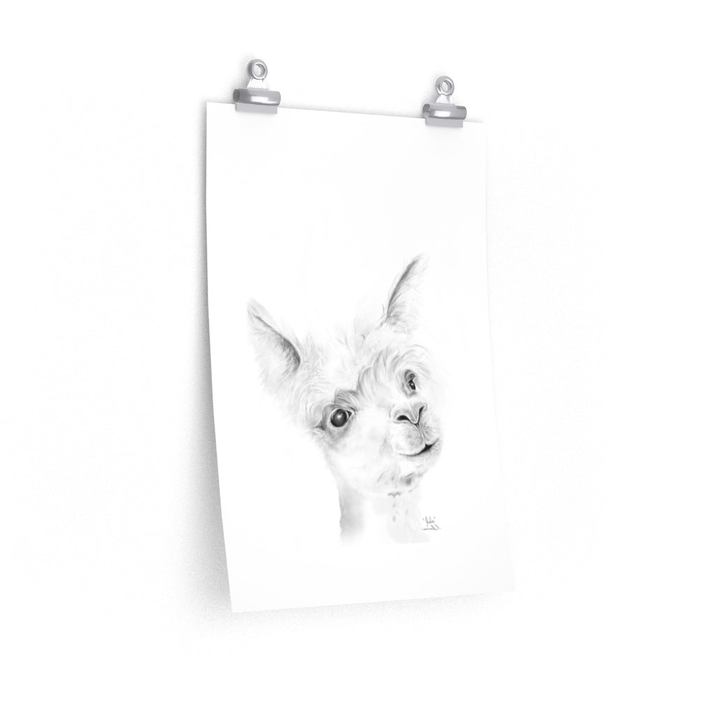 JULIE Llama- Art Paper Print