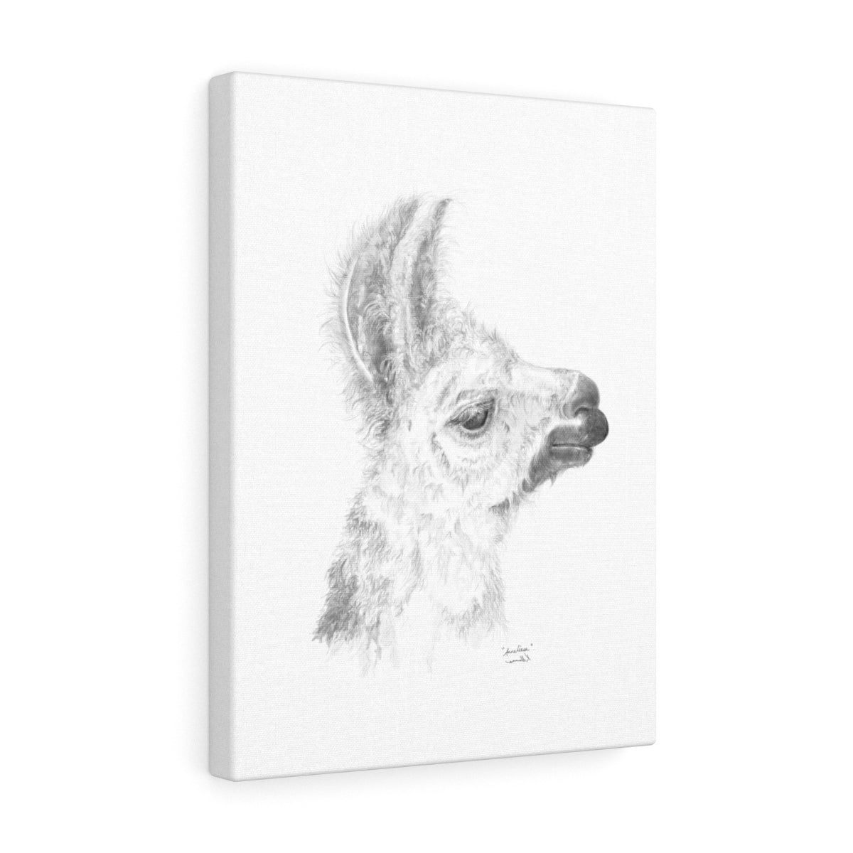 ANNELIESE Llama - Art Canvas