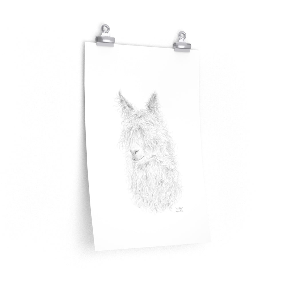 MEREDITH Llama- Art Paper Print