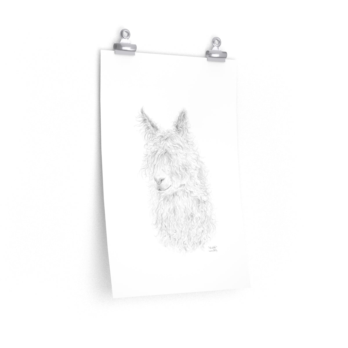 MEREDITH Llama- Art Paper Print