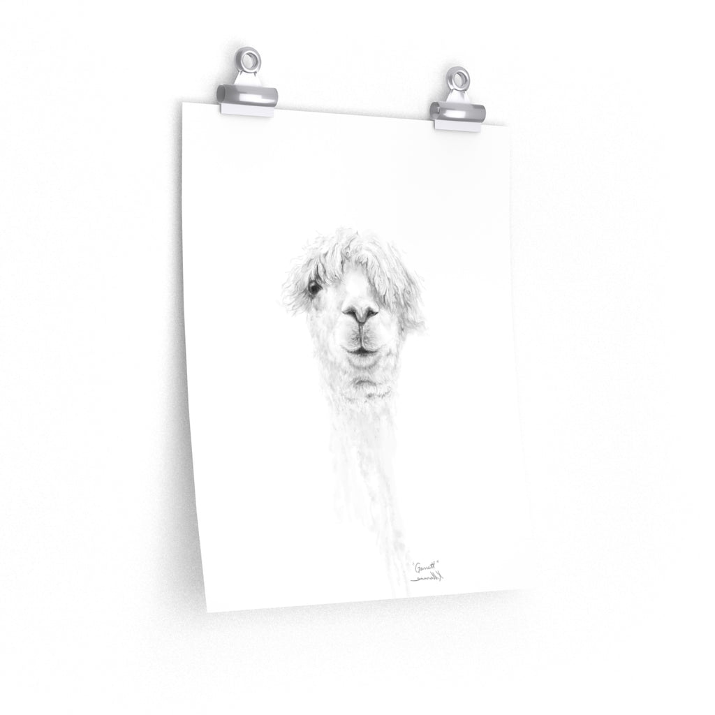GARRETT Llama- Art Paper Print
