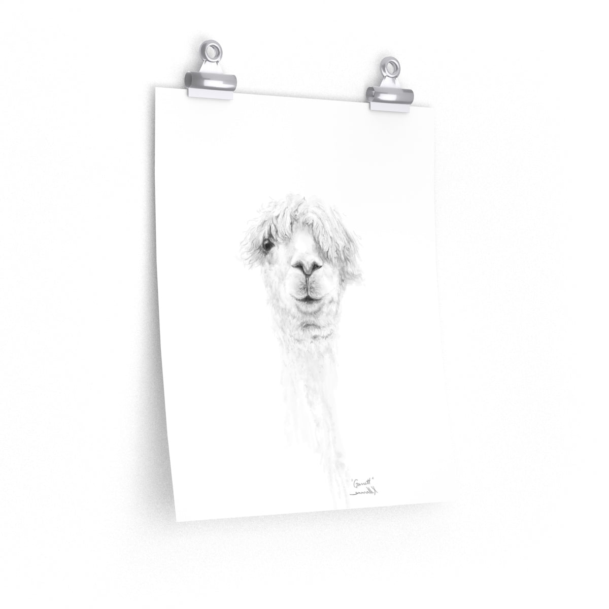 GARRETT Llama- Art Paper Print