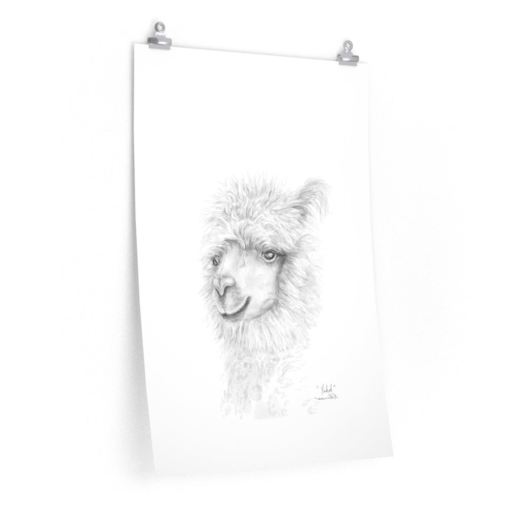 YAKOB Llama- Art Paper Print