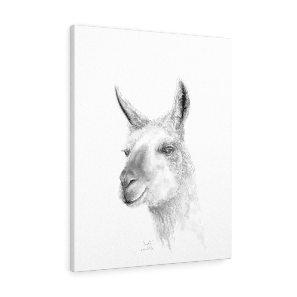INDI Llama - Art Canvas