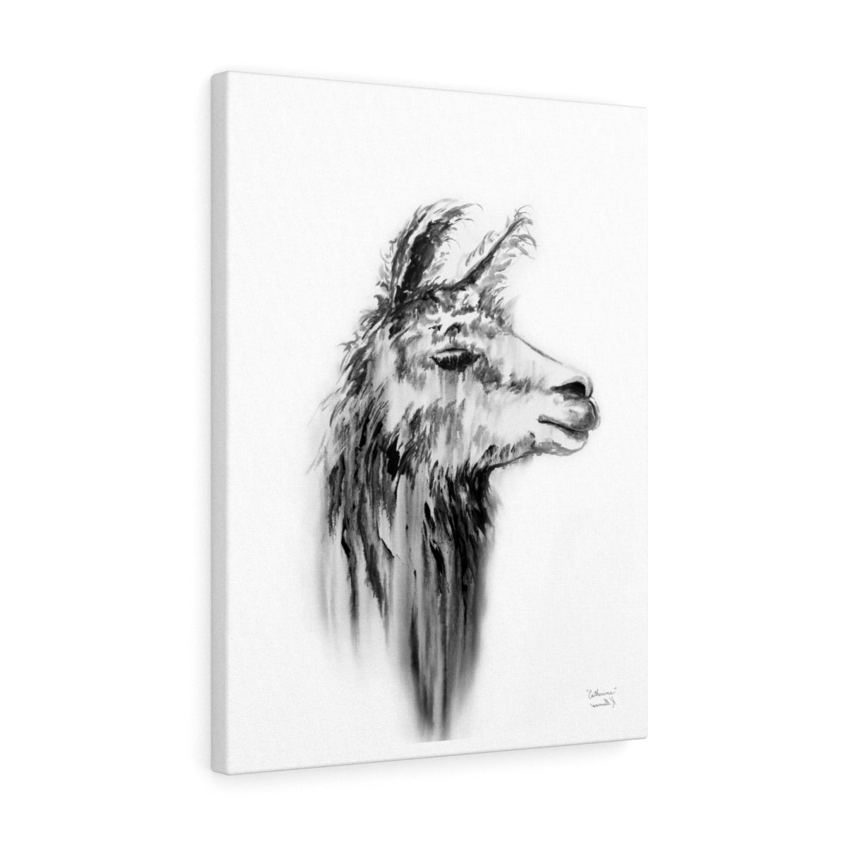 CATHERINE Llama - Art Canvas