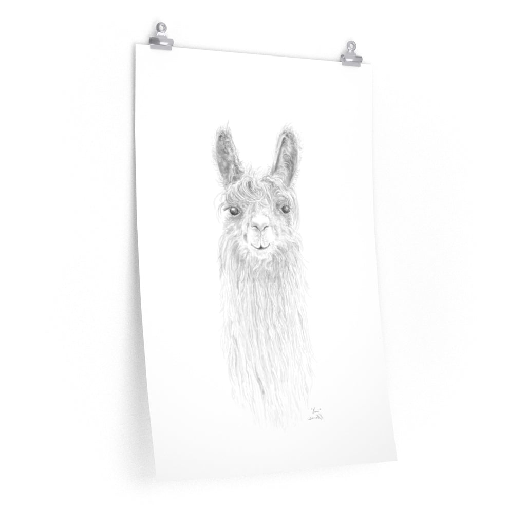 KARI Llama- Art Paper Print