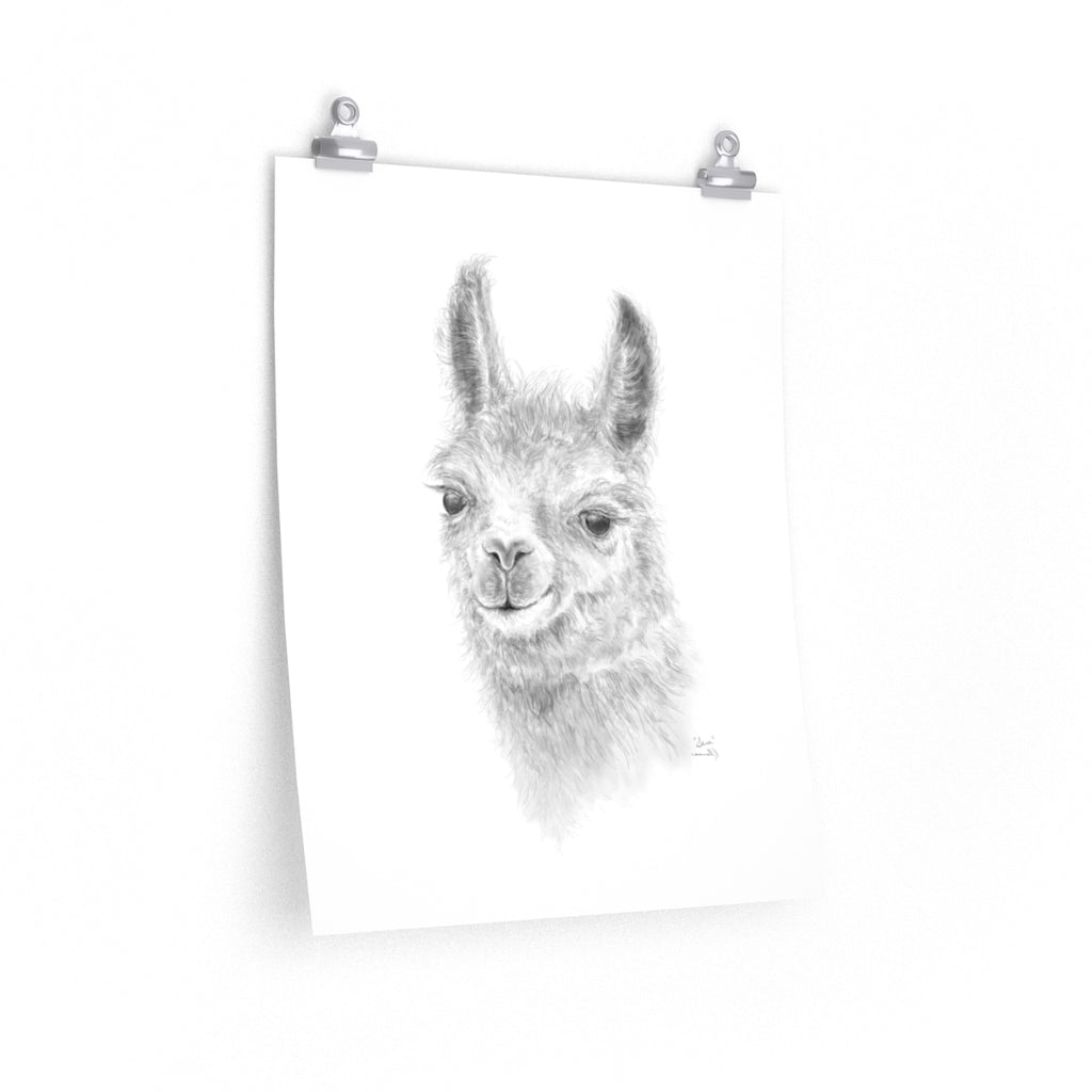 SARA Llama- Art Paper Print