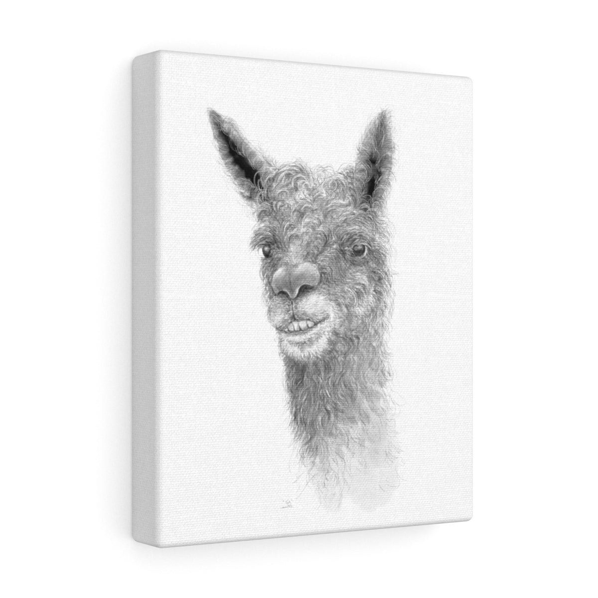 Tate Llama - Art Canvas