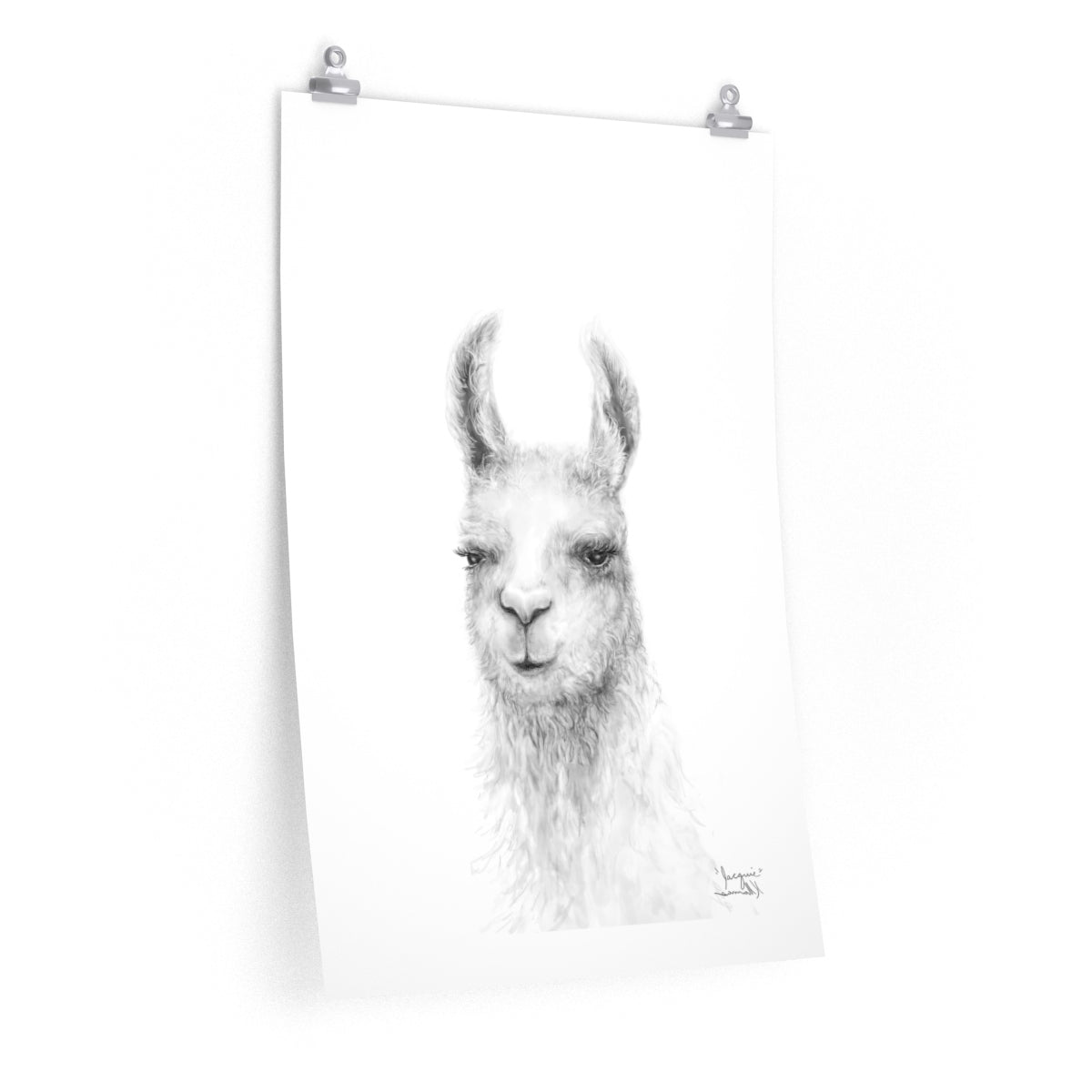 JACQUIE Llama- Art Paper Print
