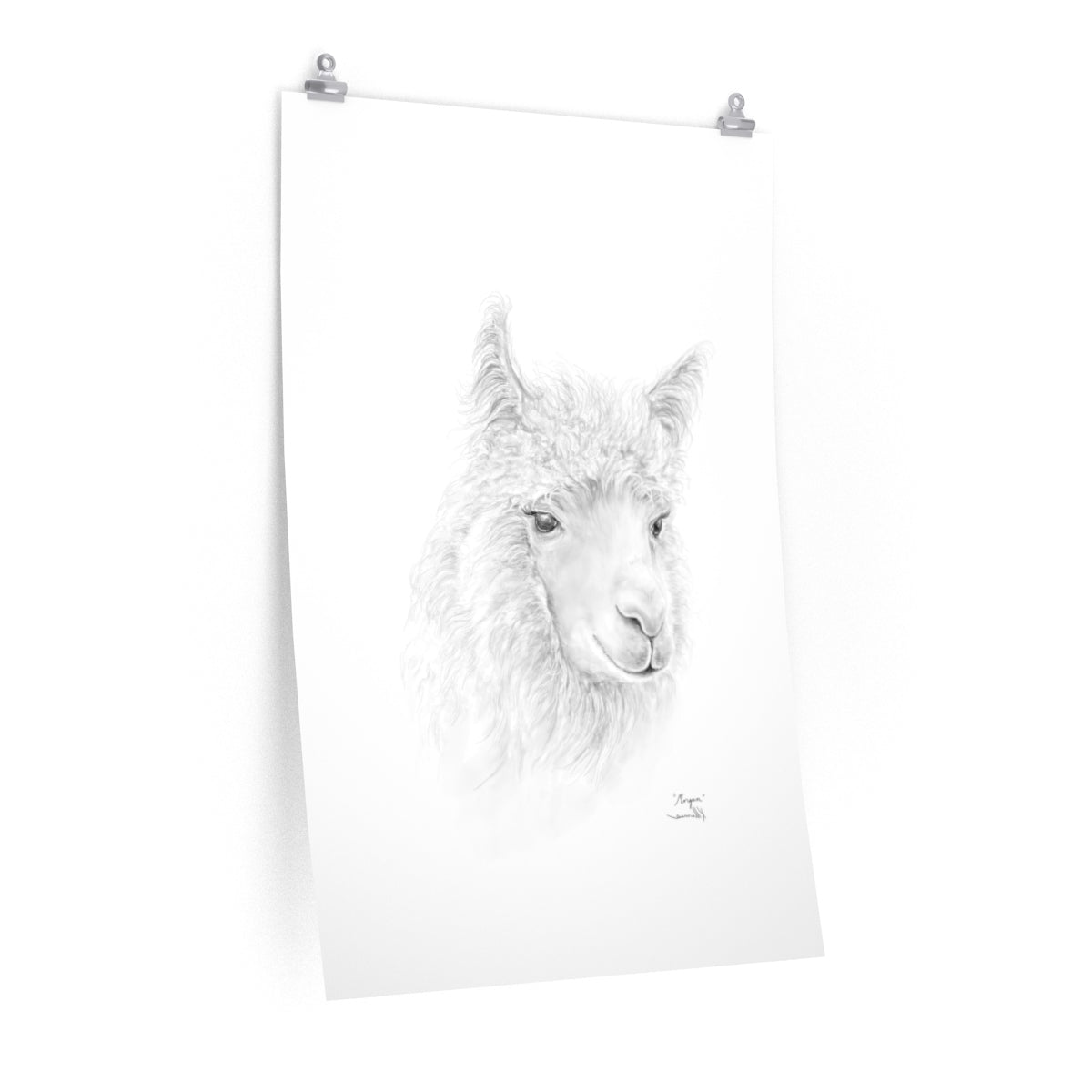 MORGAN Llama- Art Paper Print