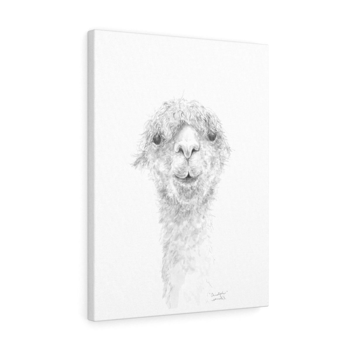 CHRISTOPHER Llama - Art Canvas