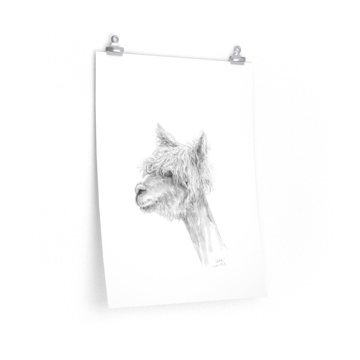SELAH Llama- Art Paper Print