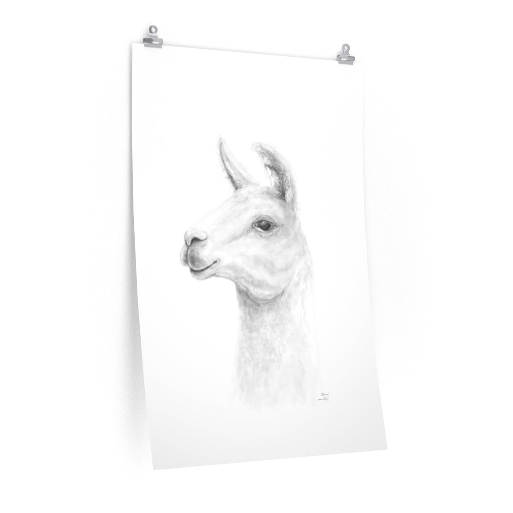 STACY Llama- Art Paper Print