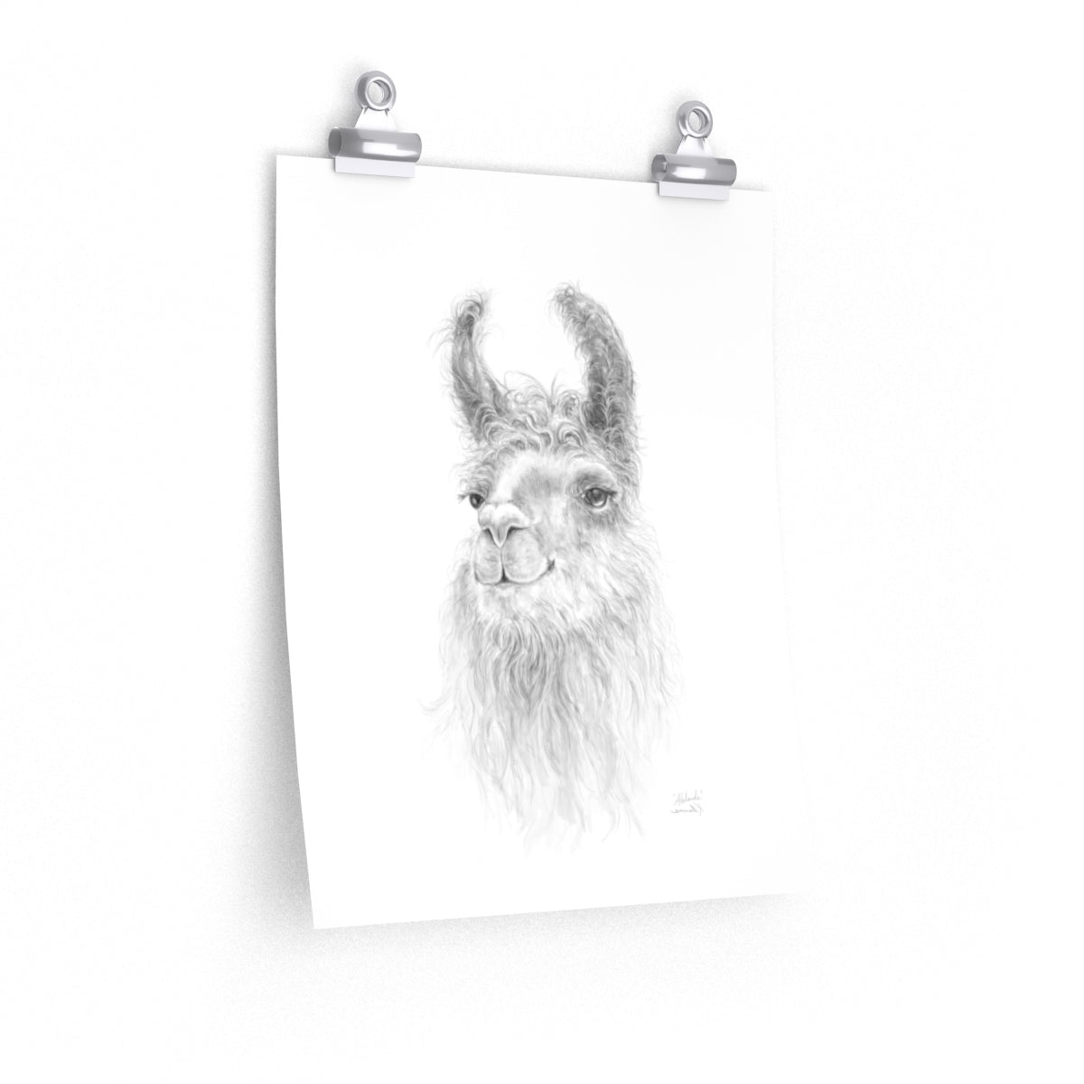 ADELAIDE Llama- Art Paper Print