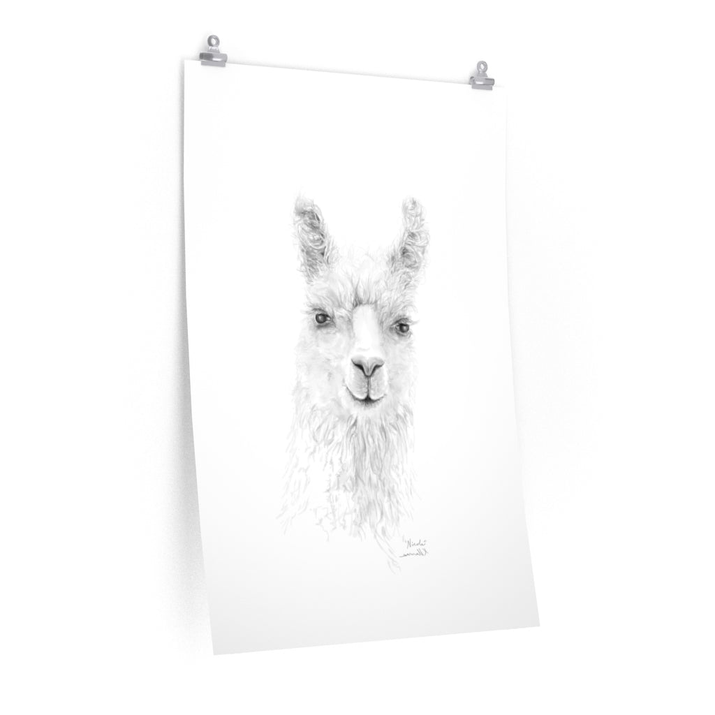 NICOLE Llama- Art Paper Print