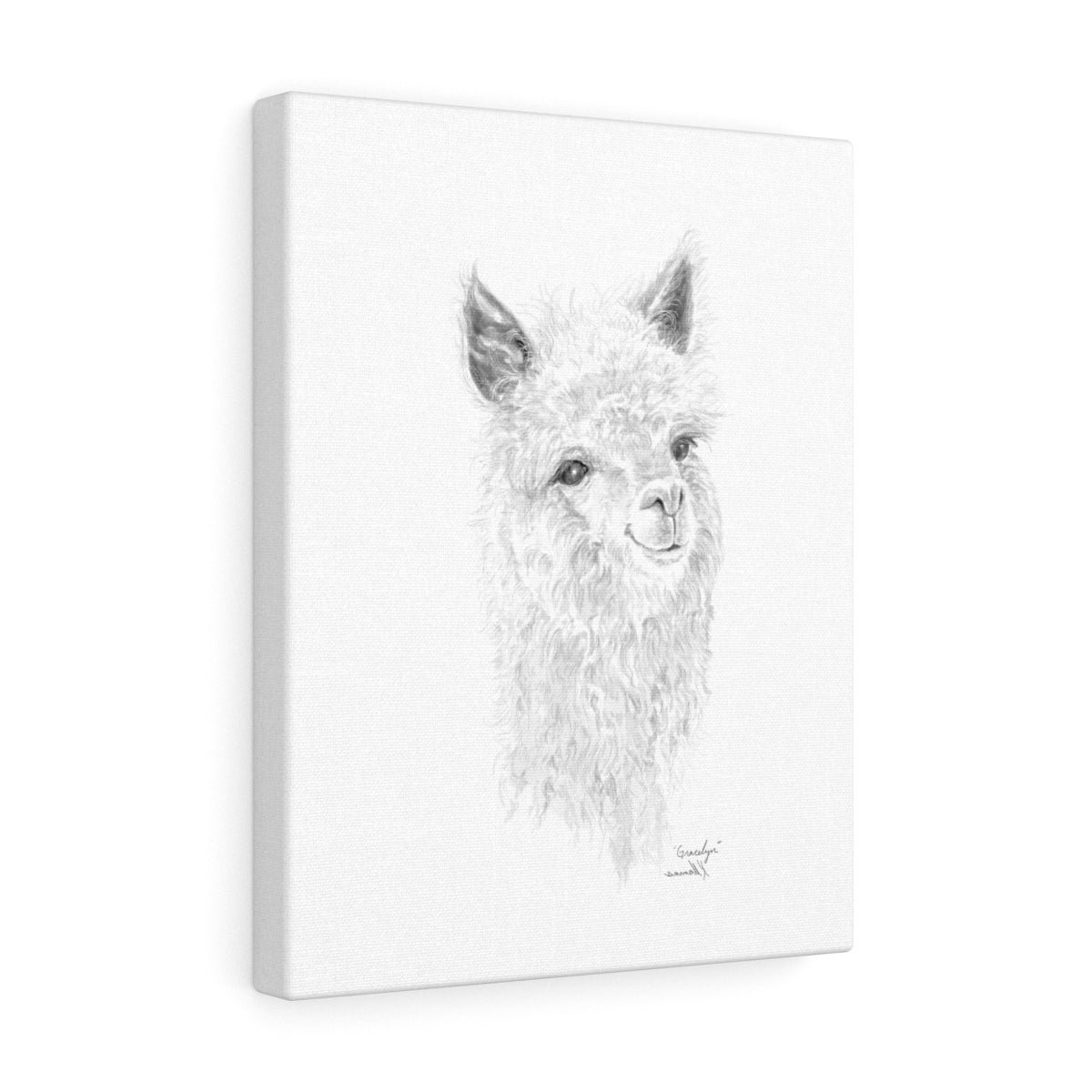 Gracelyn Llama - Art Canvas