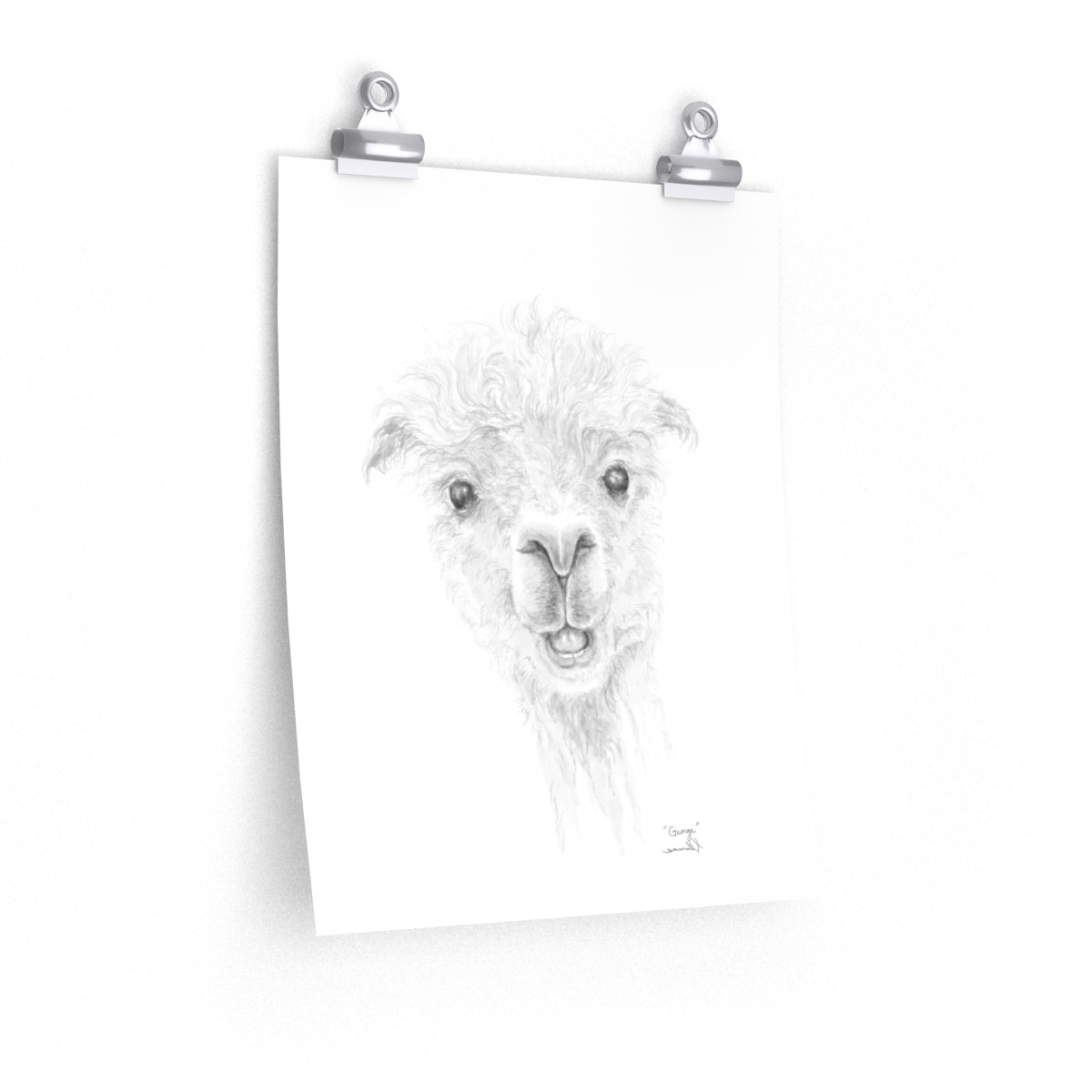 GEORGE Llama- Art Paper Print