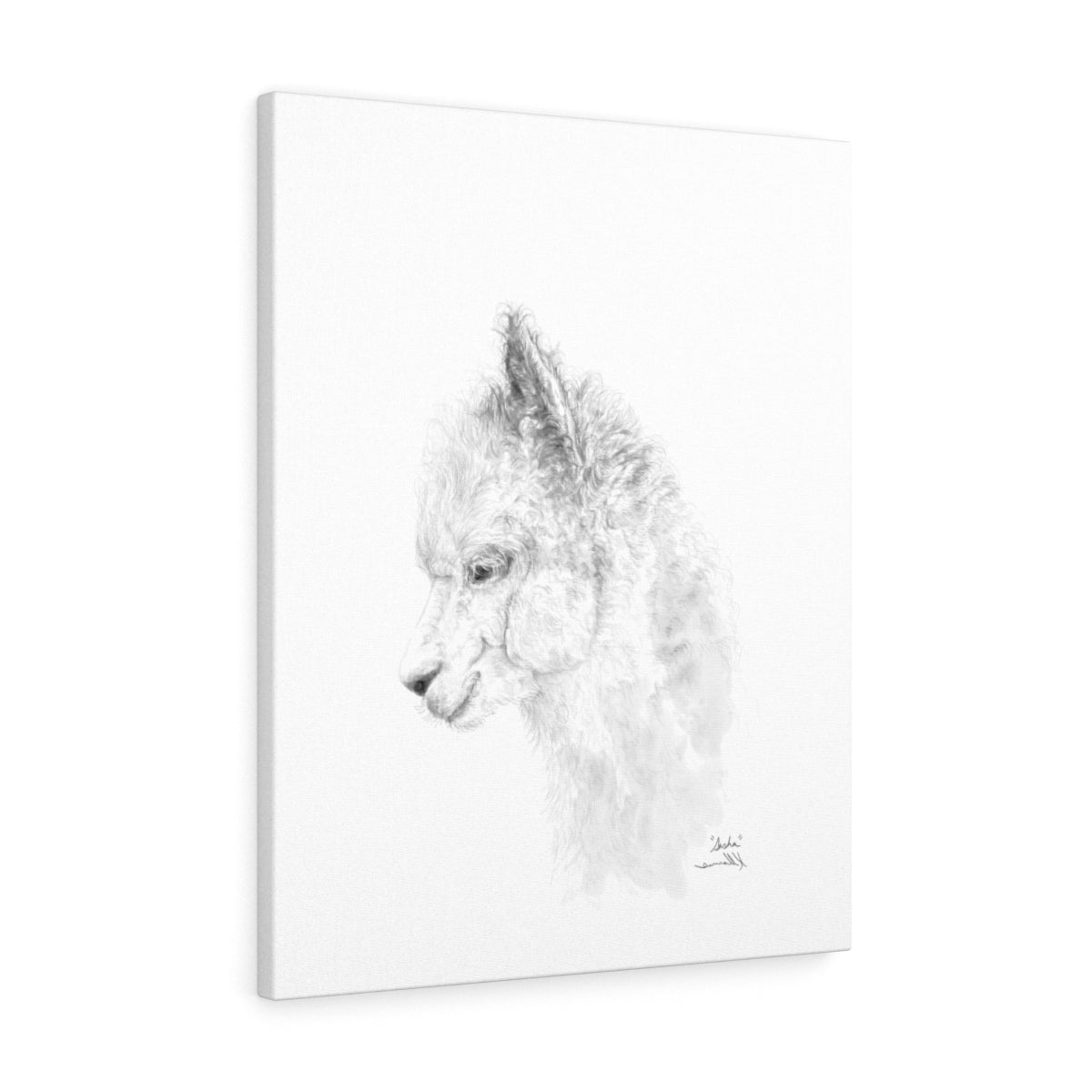 SASHA llama- Art Canvas