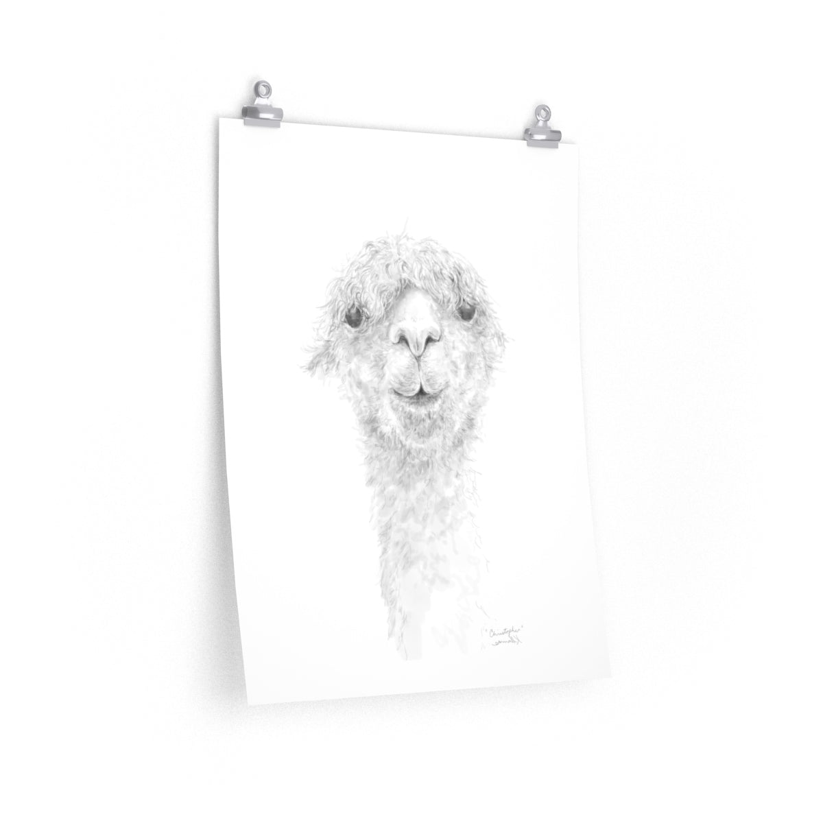 CHRISTOPHER Llama- Art Paper Print