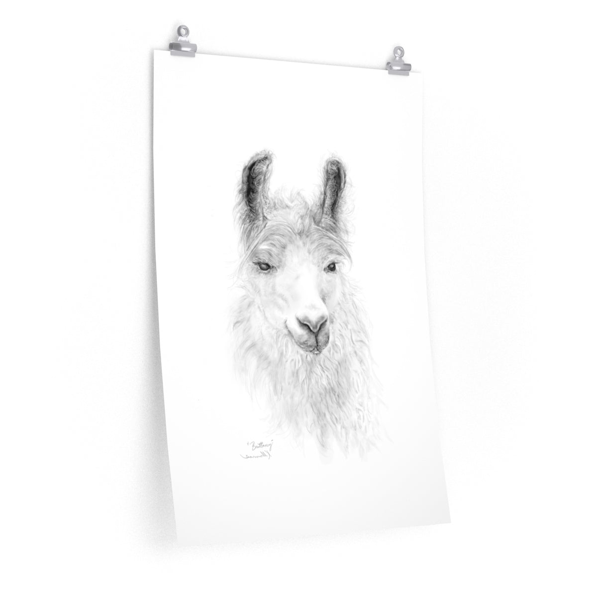 BRITTANY Llama- Art Paper Print